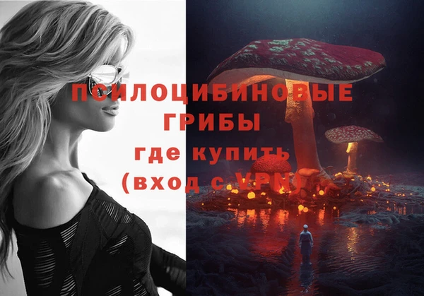 амф Алексин