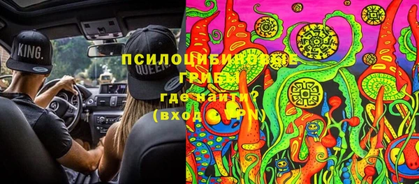 ешки Абаза